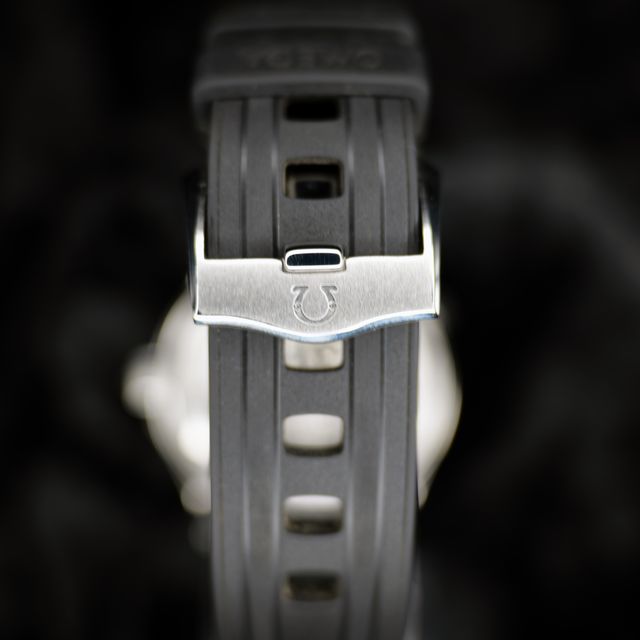 Omega Seamaster Diver 300m 210.22.42.20.01.004 Image 3